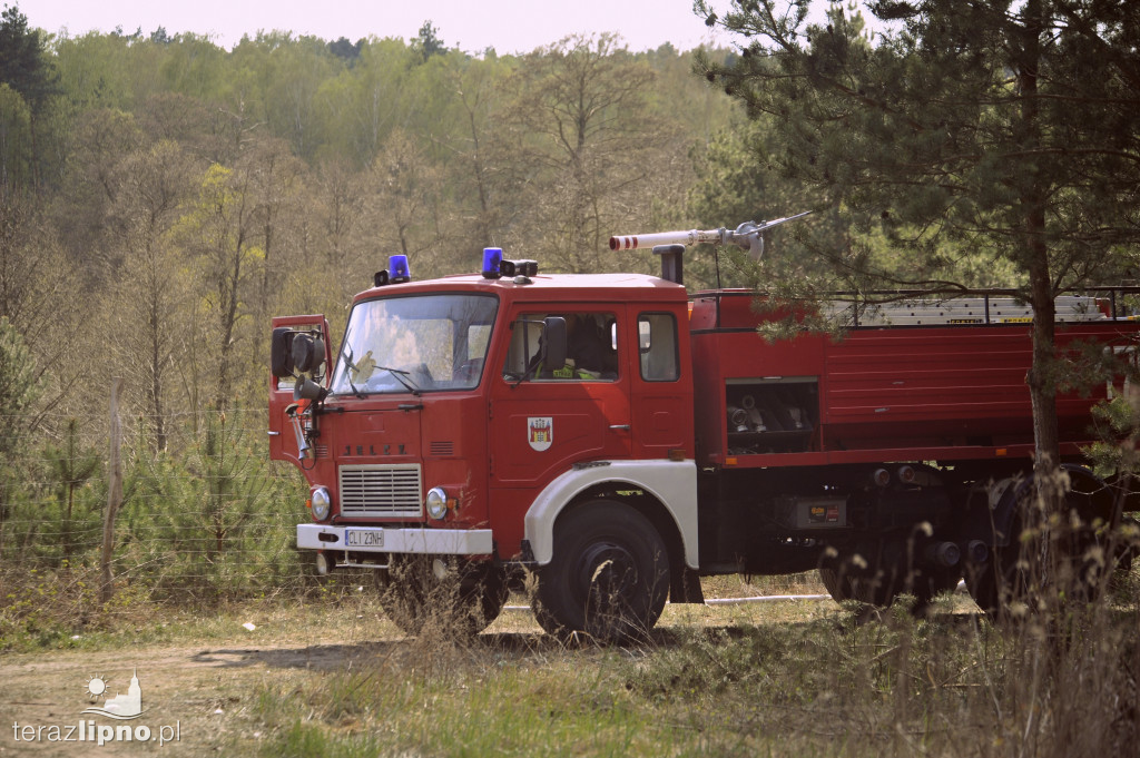 Pożary lasów na terenie powiatu (27.04)