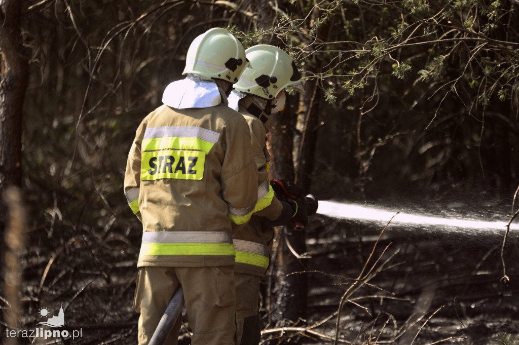 Pożary lasów na terenie powiatu (27.04)