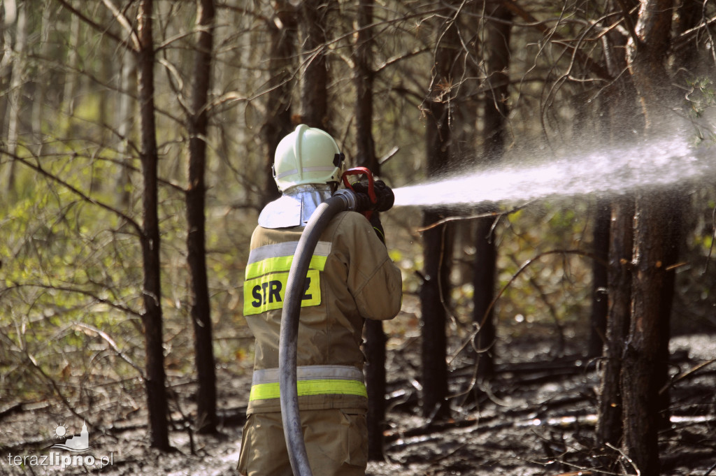 Pożary lasów na terenie powiatu (27.04)