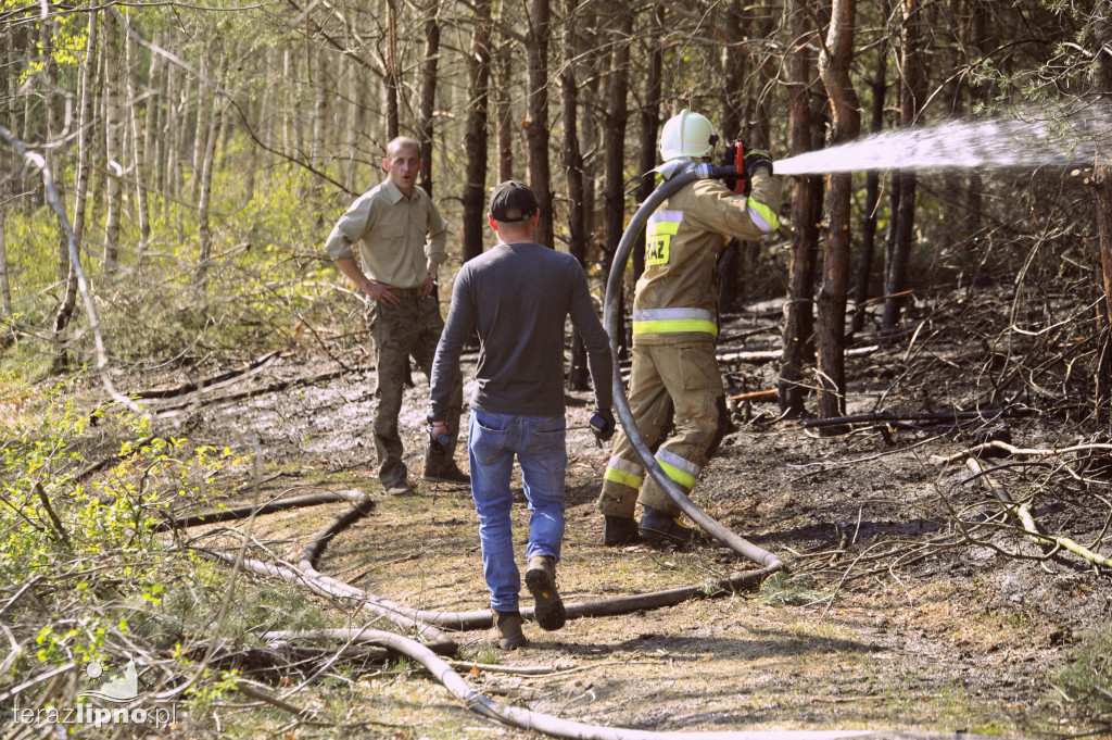 Pożary lasów na terenie powiatu (27.04)