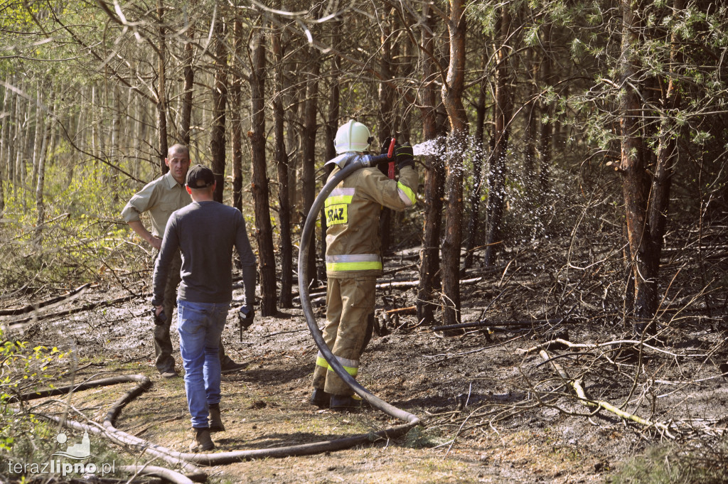 Pożary lasów na terenie powiatu (27.04)