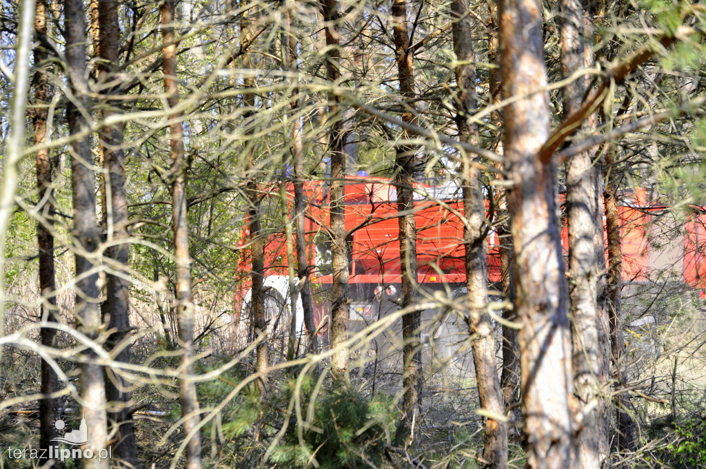 Pożary lasów na terenie powiatu (27.04)