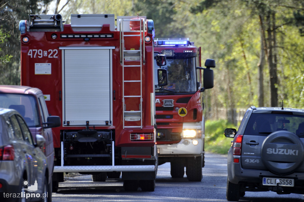 Pożary lasów na terenie powiatu (27.04)