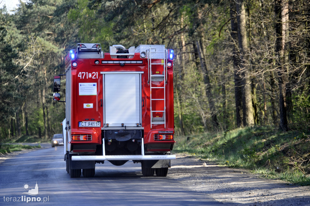 Pożary lasów na terenie powiatu (27.04)