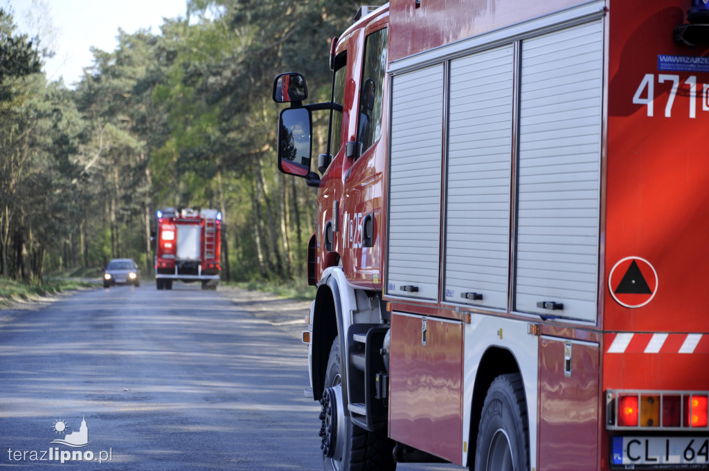 Pożary lasów na terenie powiatu (27.04)