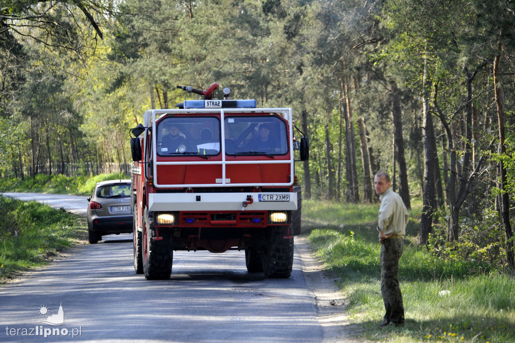 Pożary lasów na terenie powiatu (27.04)