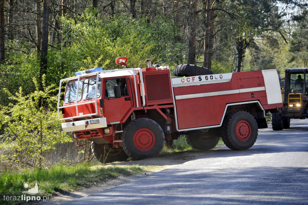 Pożary lasów na terenie powiatu (27.04)