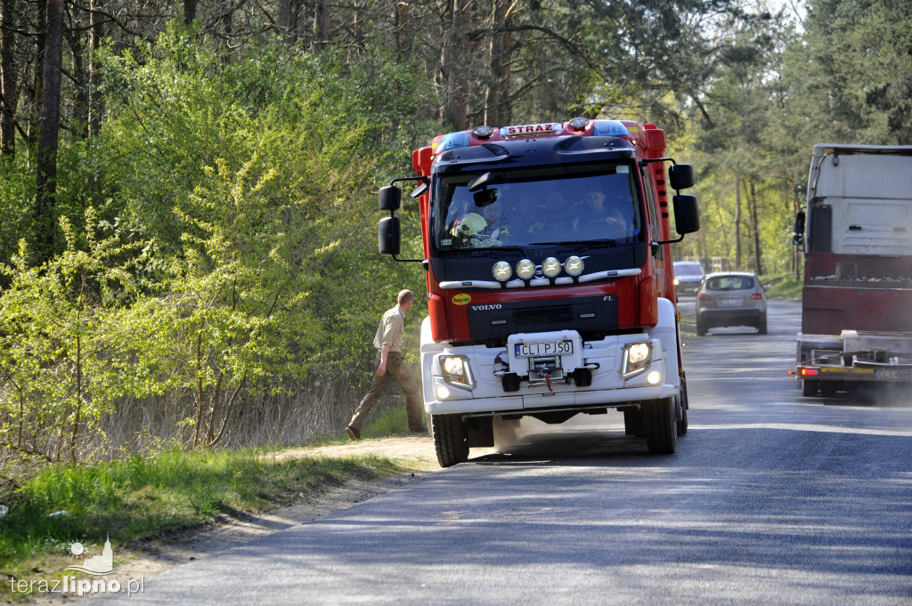 Pożary lasów na terenie powiatu (27.04)