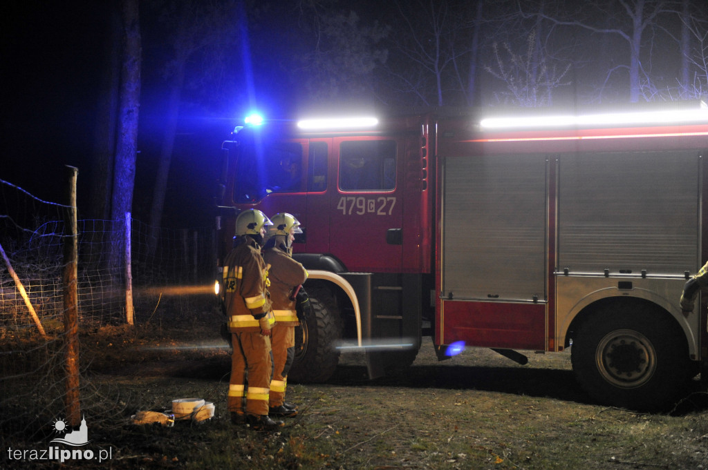 Pożary lasów na terenie powiatu (27.04)
