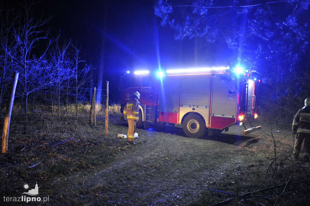 Pożary lasów na terenie powiatu (27.04)