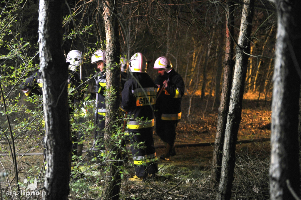 Pożary lasów na terenie powiatu (27.04)