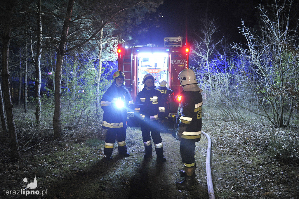 Pożary lasów na terenie powiatu (27.04)