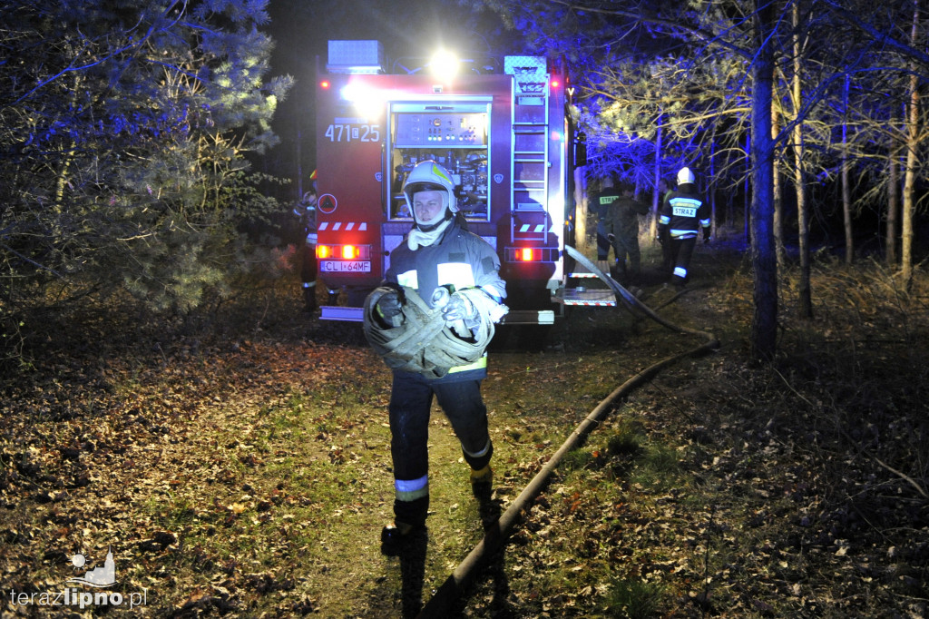 Pożary lasów na terenie powiatu (27.04)