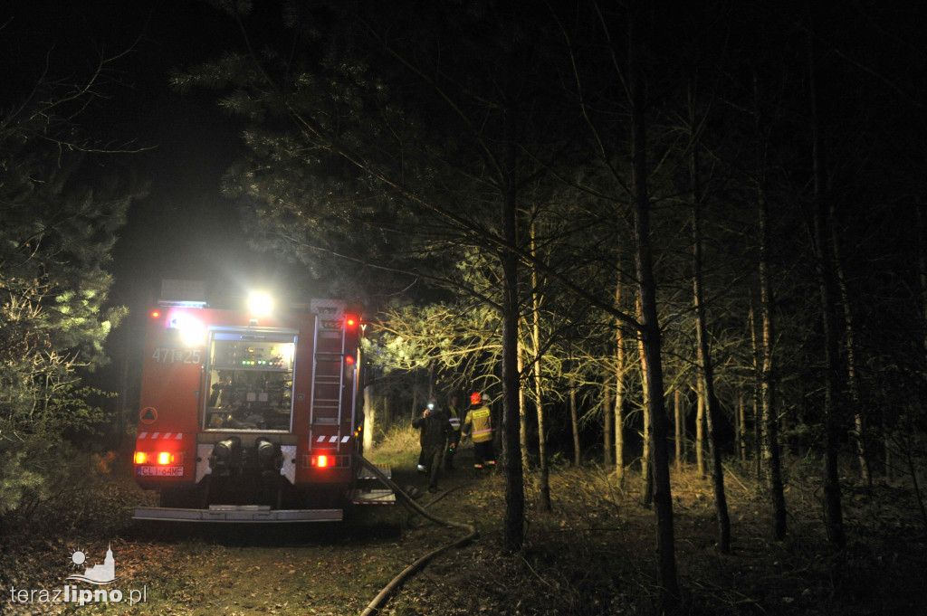 Pożary lasów na terenie powiatu (27.04)
