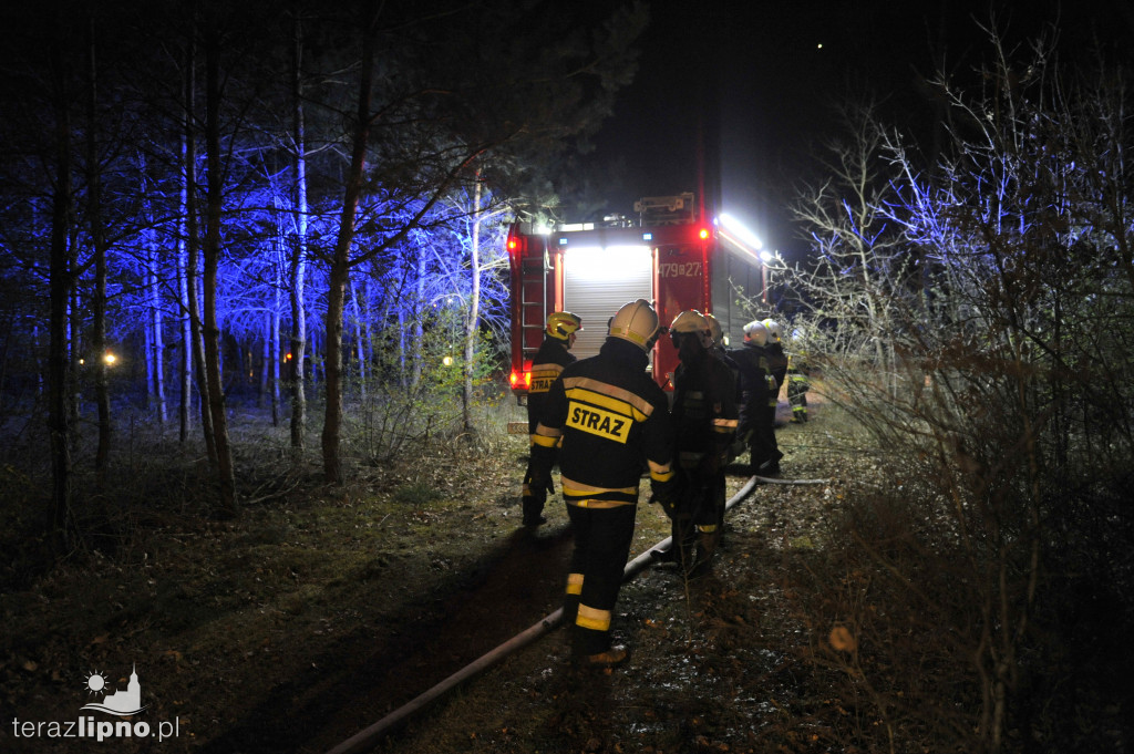 Pożary lasów na terenie powiatu (27.04)