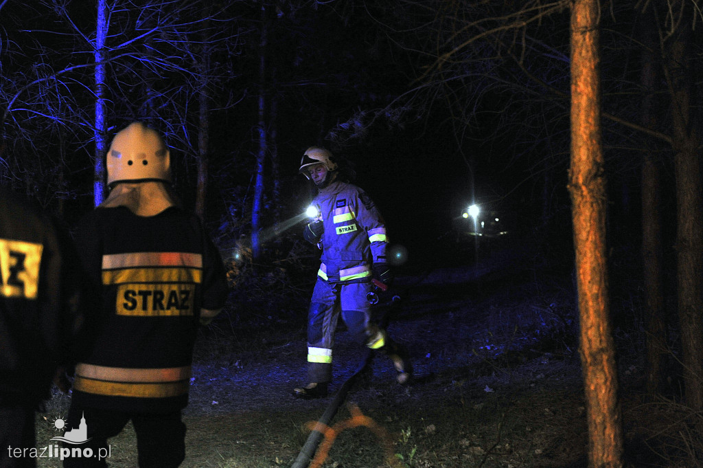 Pożary lasów na terenie powiatu (27.04)