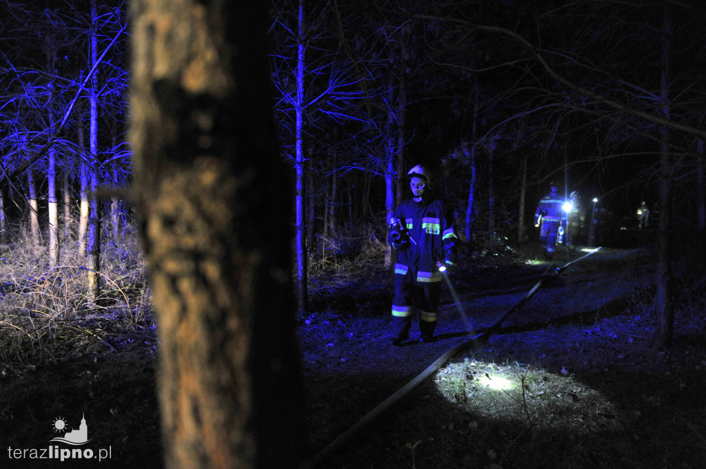 Pożary lasów na terenie powiatu (27.04)