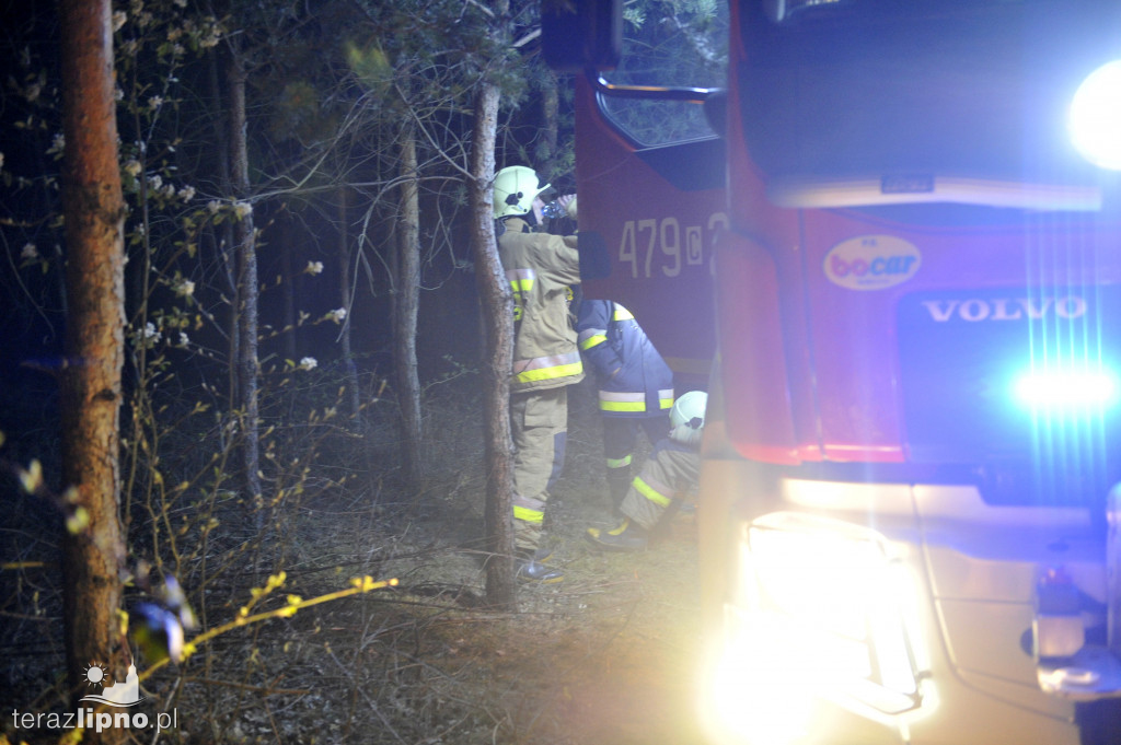 Pożary lasów na terenie powiatu (27.04)
