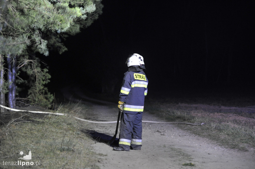 Pożary lasów na terenie powiatu (27.04)