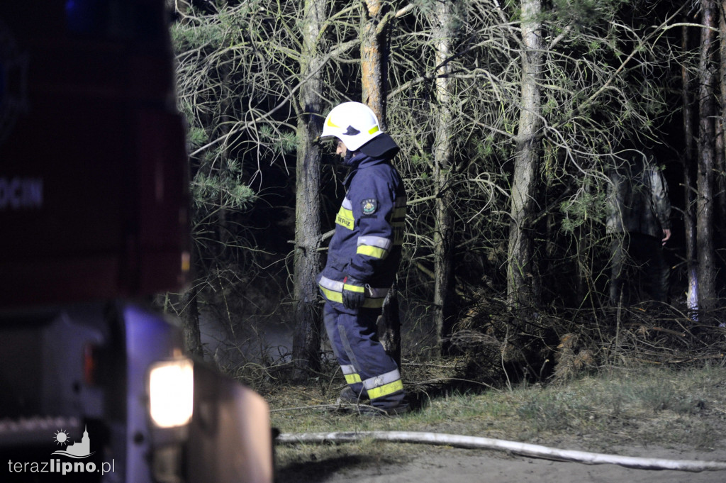 Pożary lasów na terenie powiatu (27.04)