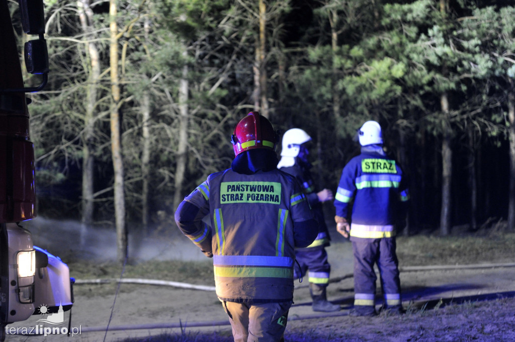 Pożary lasów na terenie powiatu (27.04)