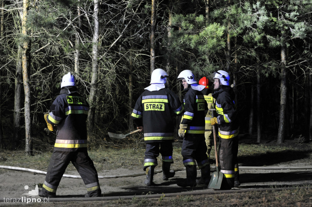 Pożary lasów na terenie powiatu (27.04)