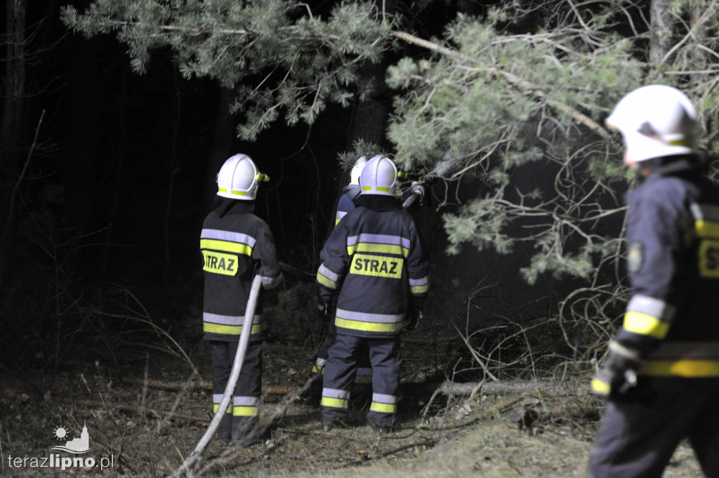 Pożary lasów na terenie powiatu (27.04)