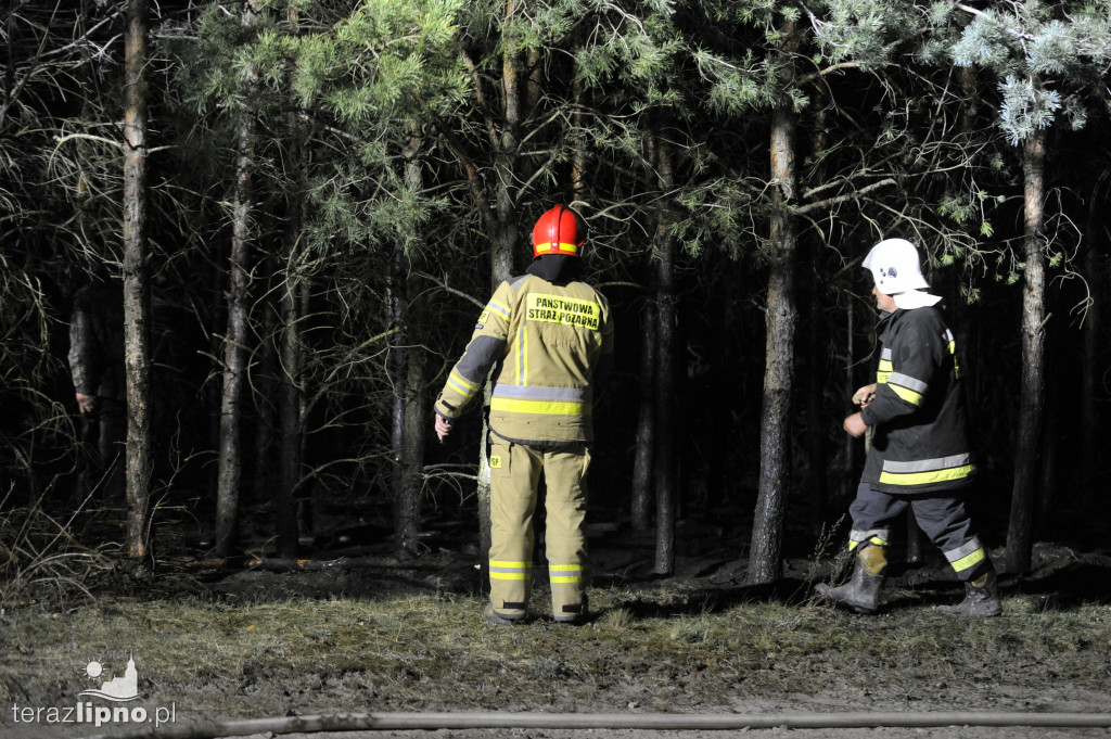 Pożary lasów na terenie powiatu (27.04)