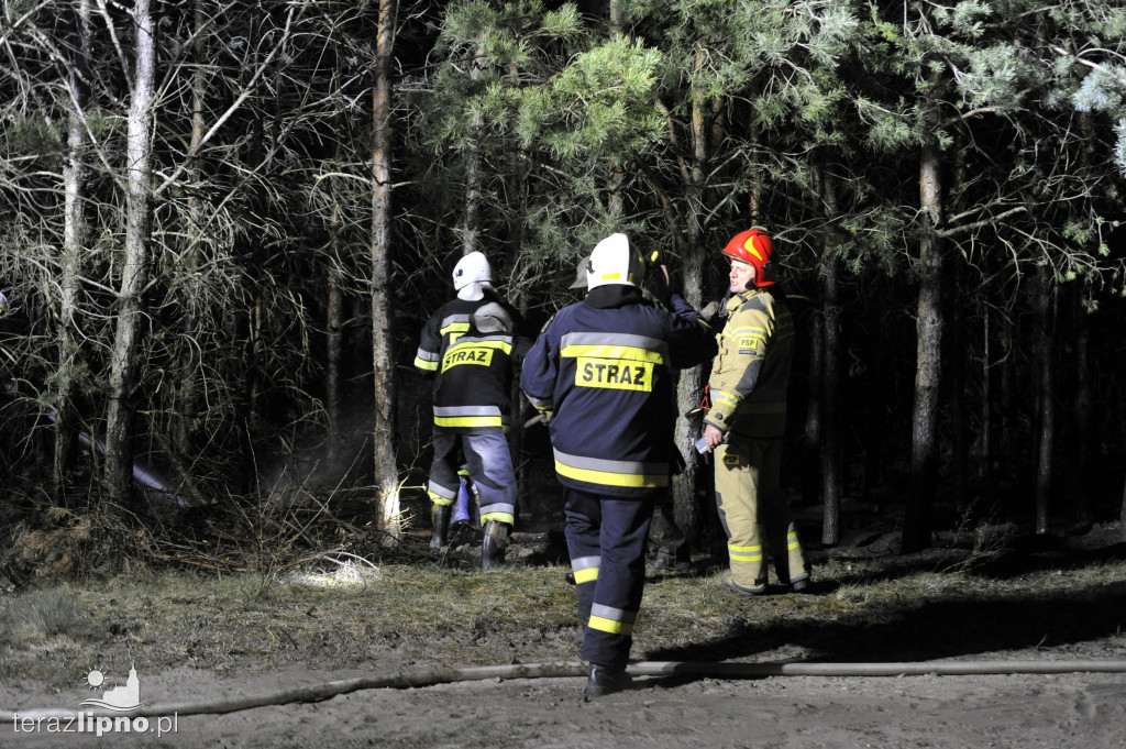 Pożary lasów na terenie powiatu (27.04)