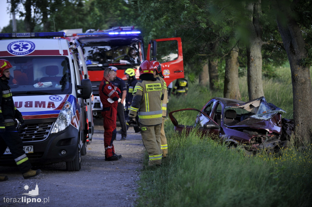 Groźny wypadek w Radomicach. W akcji LPR