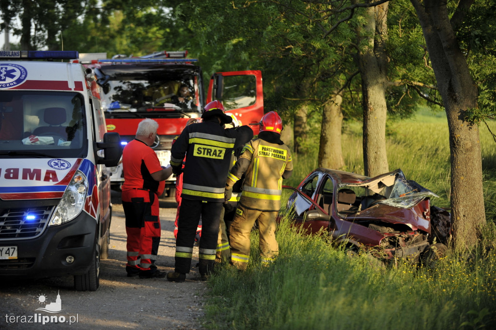 Groźny wypadek w Radomicach. W akcji LPR
