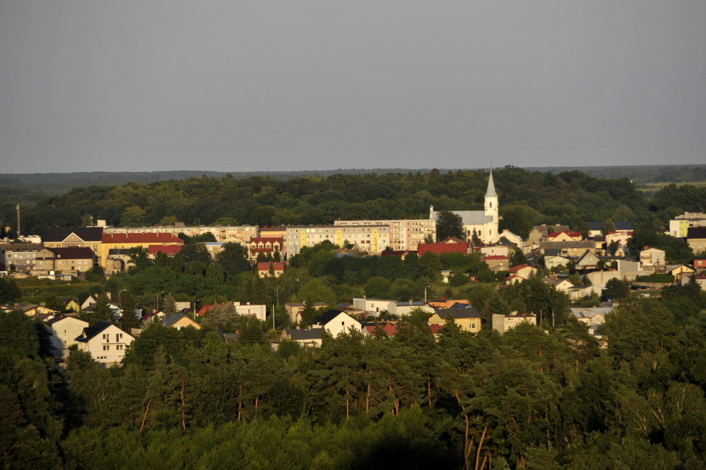 Panorama z lotu ptaka. Festiwal balonów w Lipnie