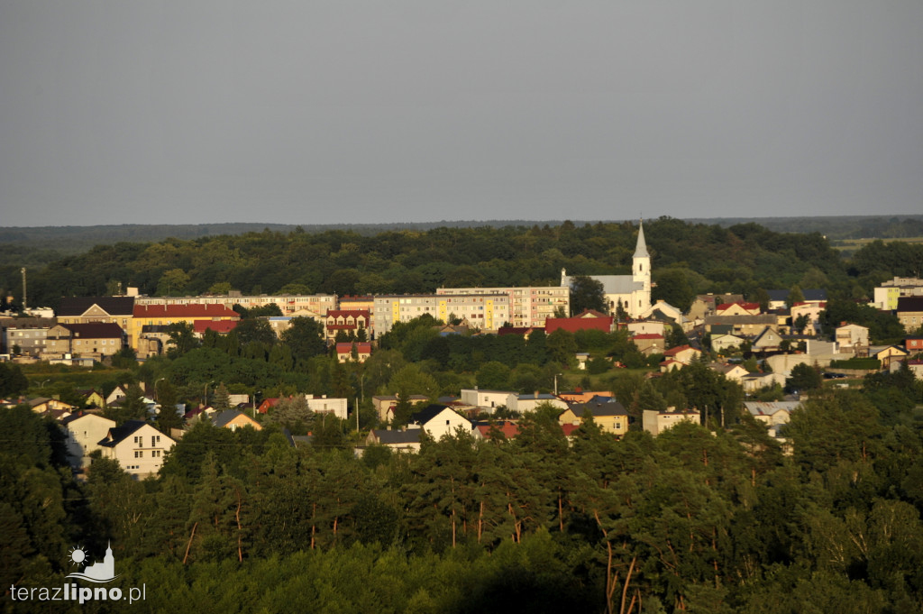 Panorama z lotu ptaka. Festiwal balonów w Lipnie