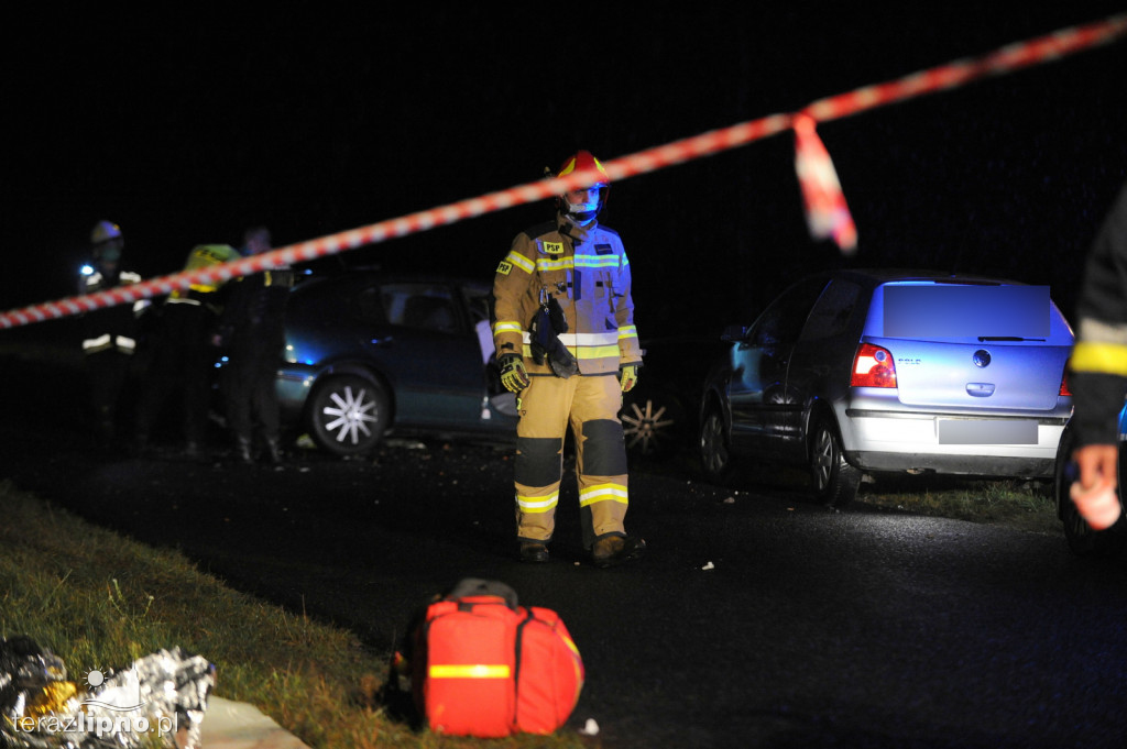 Zderzenie czołowe dwóch pojazdów w gm. Bobrowniki