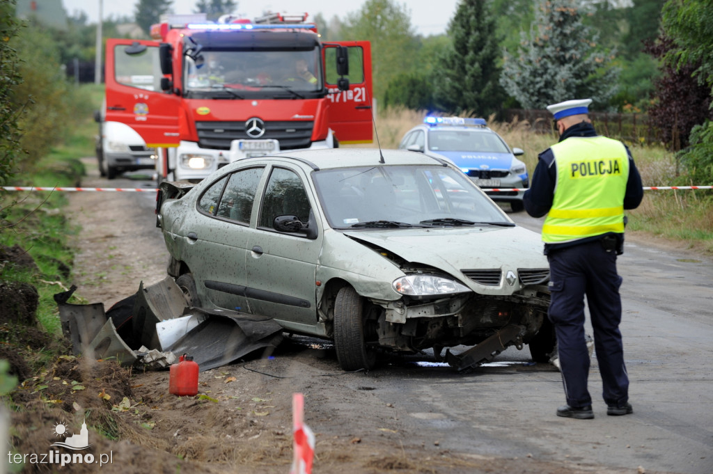 Groźne zdarzenie na DW 559 w Głodowie
