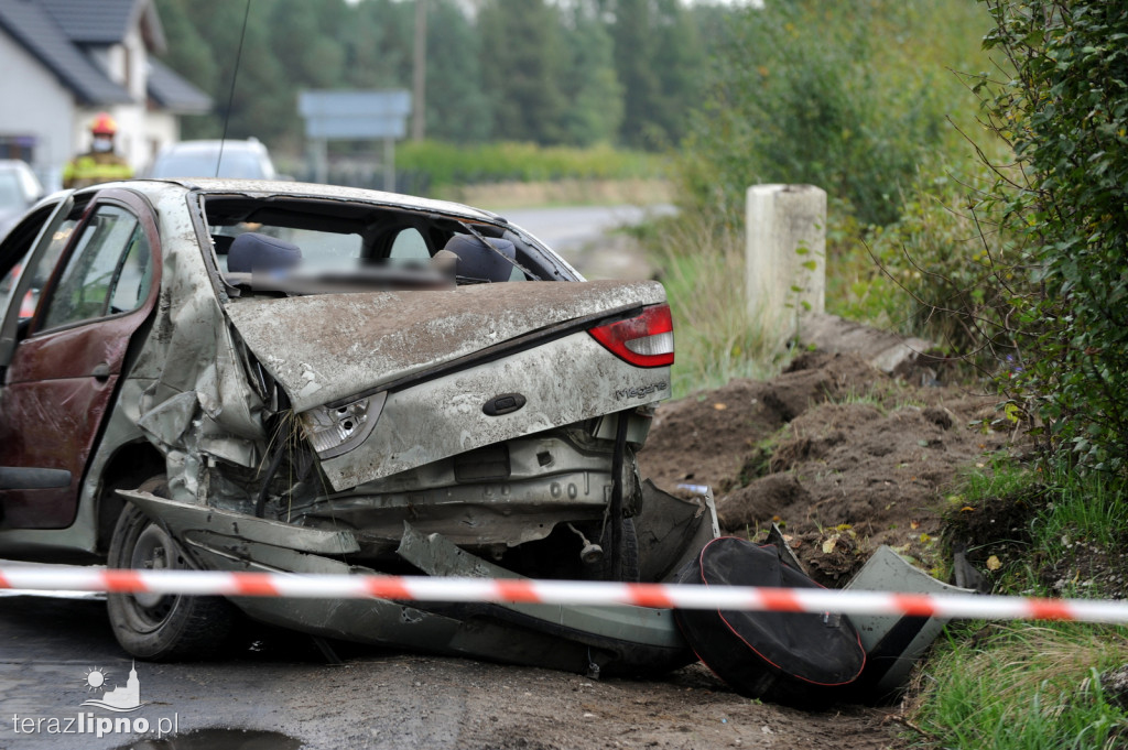 Groźne zdarzenie na DW 559 w Głodowie