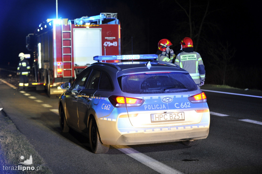 Śmiertelny wypadek na DK 10 w gminie Skępe