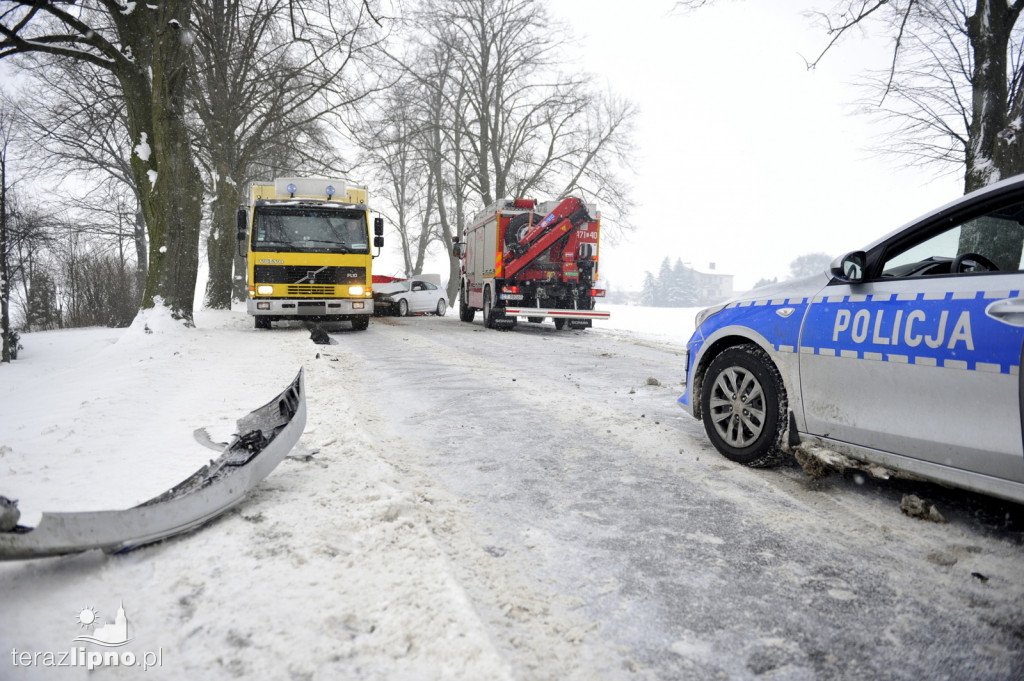 Tragiczny wypadek na dw 557 w Okręgu