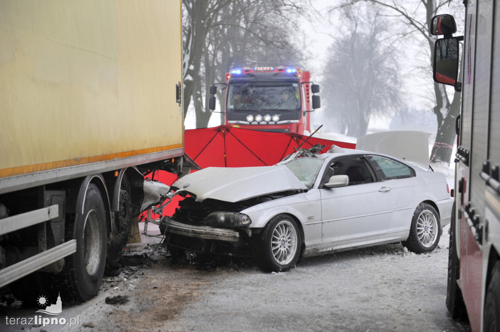 Tragiczny wypadek na dw 557 w Okręgu