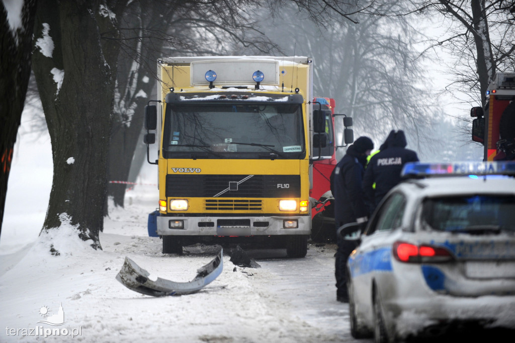 Tragiczny wypadek na dw 557 w Okręgu