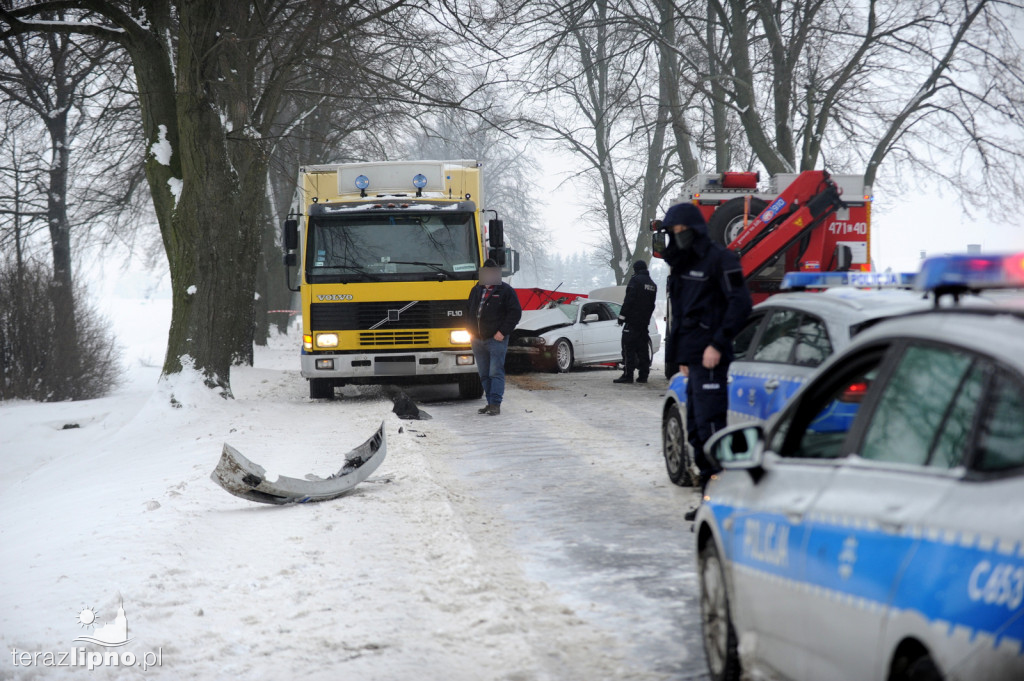 Tragiczny wypadek na dw 557 w Okręgu