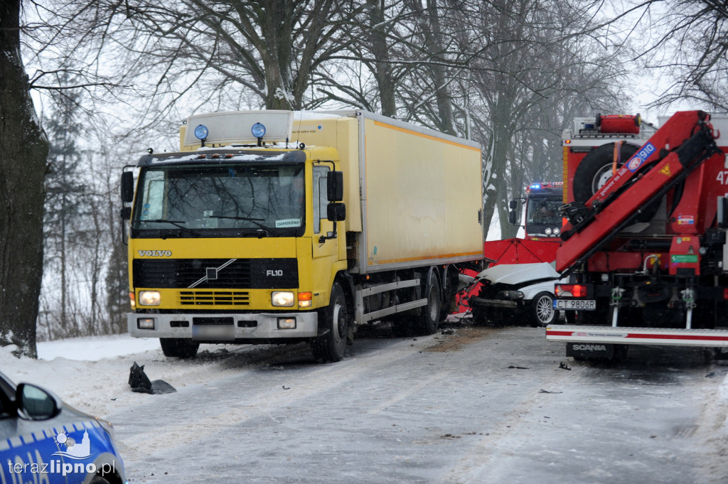 Tragiczny wypadek na dw 557 w Okręgu