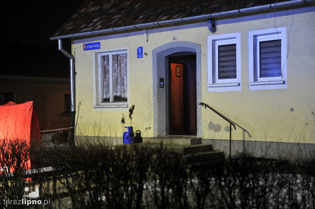 Pożar w Dobrzyniu nad Wisłą. Nie żyje kobieta