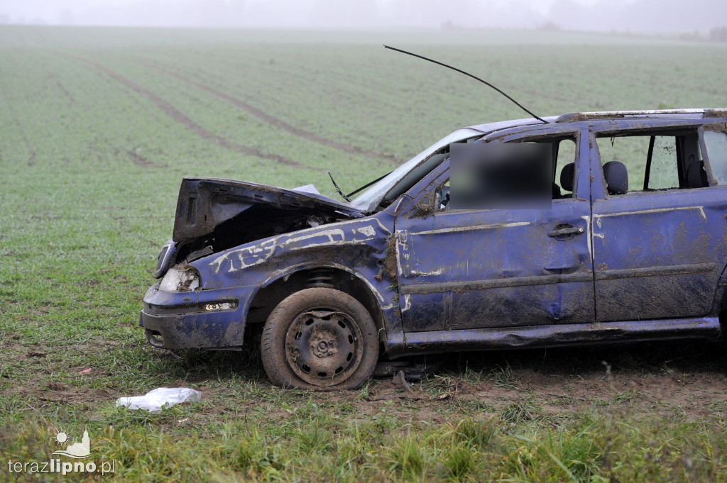 Tragiczny wypadek na DW559 w Głodowie