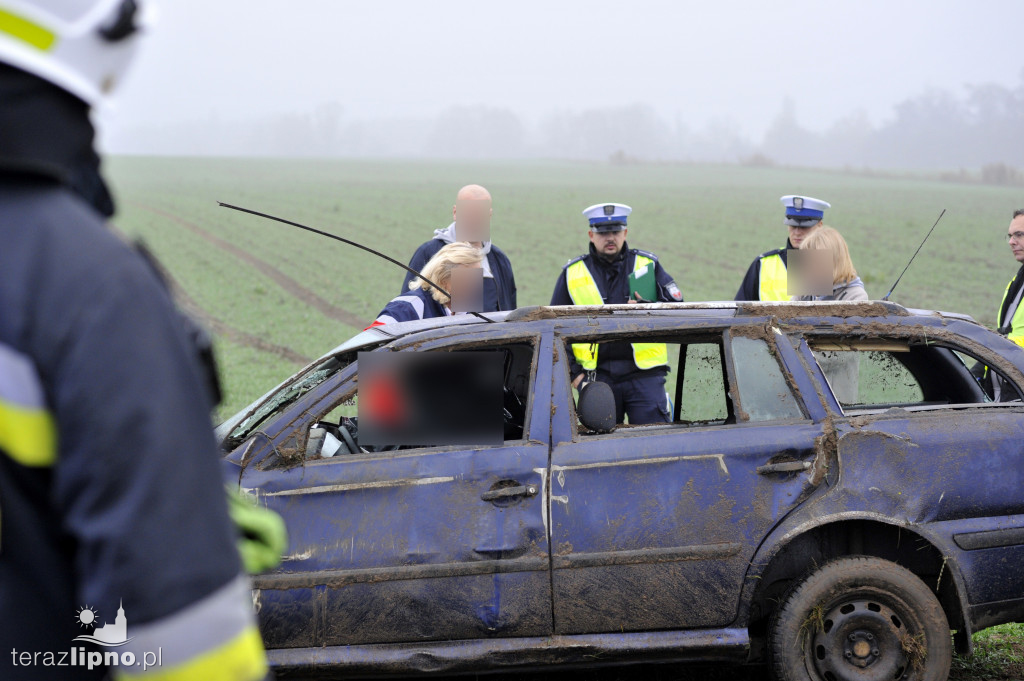 Tragiczny wypadek na DW559 w Głodowie