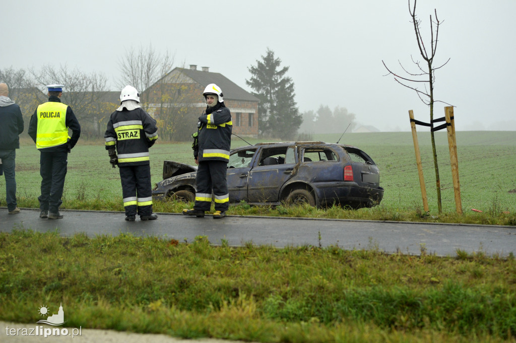 Tragiczny wypadek na DW559 w Głodowie