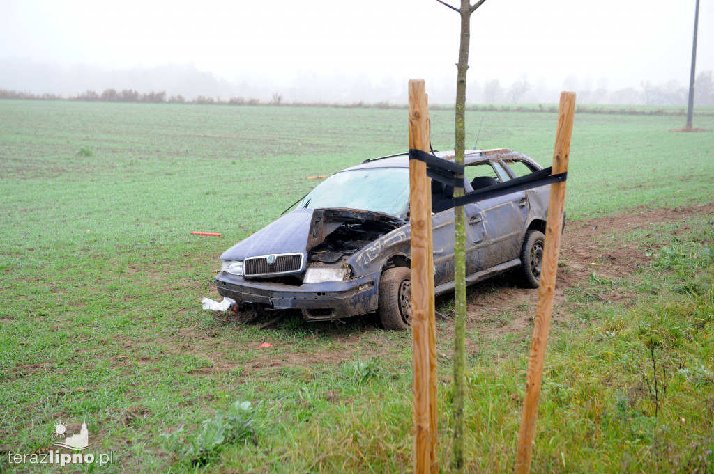 Tragiczny wypadek na DW559 w Głodowie