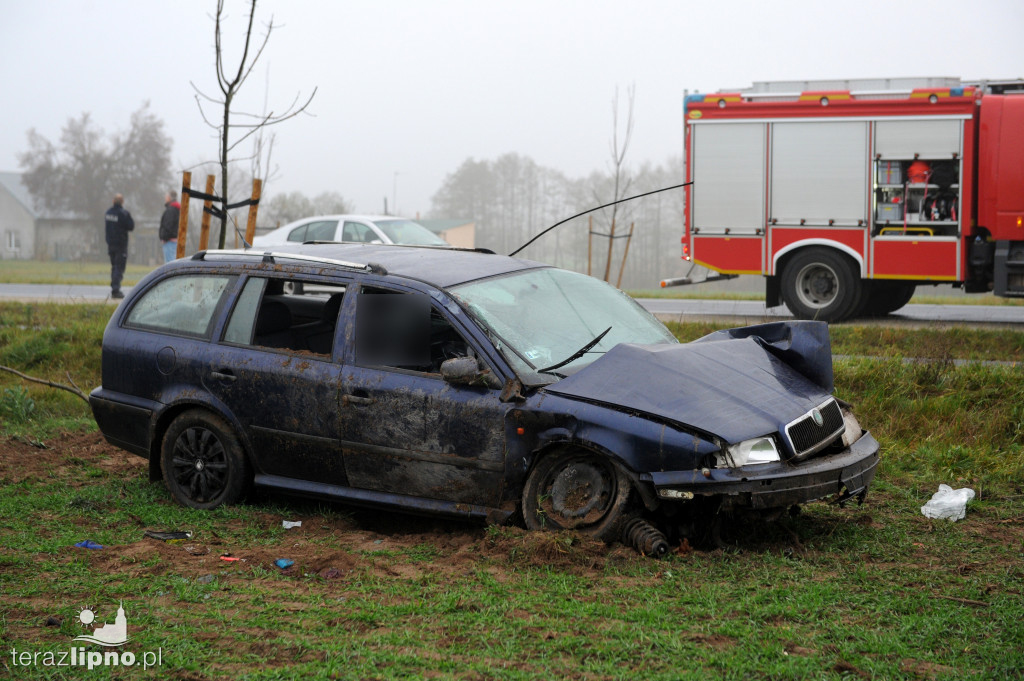 Tragiczny wypadek na DW559 w Głodowie