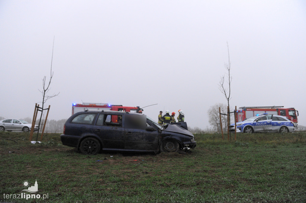 Tragiczny wypadek na DW559 w Głodowie