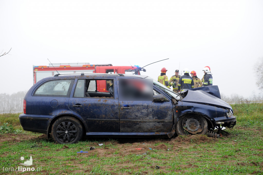 Tragiczny wypadek na DW559 w Głodowie